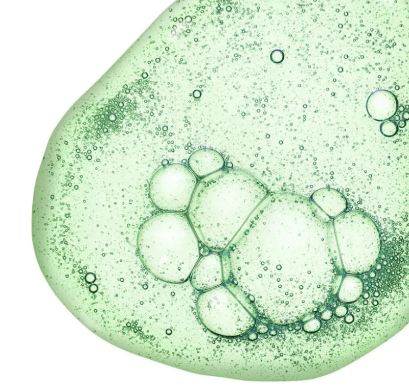 Brunatnica (Undaria pinnatifida) — Undaria Pinnatifida Extract